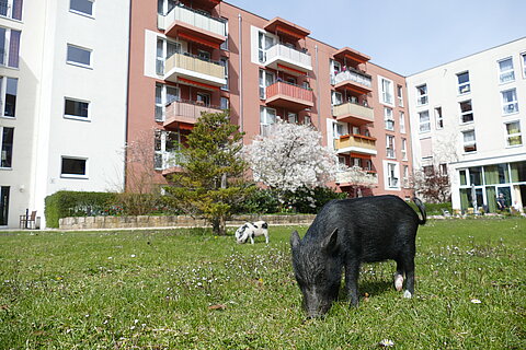Tierhaus Seniorenstiftung Prenzlauer Berg