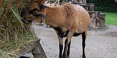Das Tierhaus in der Seniorenstiftung Prenzlauer Berg